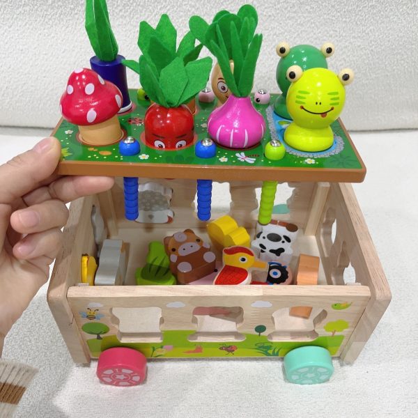 a06f31e786a1690cdc11adcade512a9d.jpg Toddlers Montessori Wooden Educational Toys, Shape Sorting Toys Gifts, Wood Learning Fine Motor Skills Game, For Baby Boys Girls Age 1 2 3 4 Year Old, For Kids 1-4 Christmas And Halloween Gift