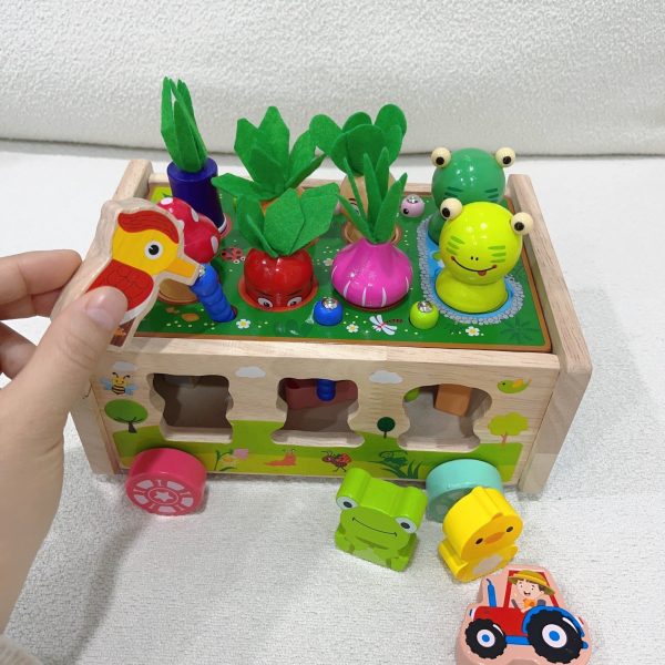 cdd7b8fe46e218f3e4eca22322a737d1.jpg Toddlers Montessori Wooden Educational Toys, Shape Sorting Toys Gifts, Wood Learning Fine Motor Skills Game, For Baby Boys Girls Age 1 2 3 4 Year Old, For Kids 1-4 Christmas And Halloween Gift